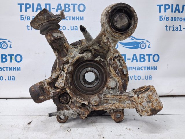 MR992531 Цапфа (поворотный кулак) задний левый купить Черновцы