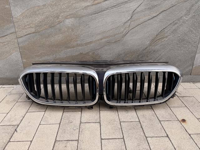 Решетка радиатора 51137497280 BMW