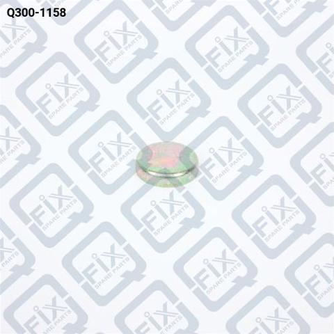 Q-FIX Q3001158 Заглушка ГБЦ в наличии Запорожье