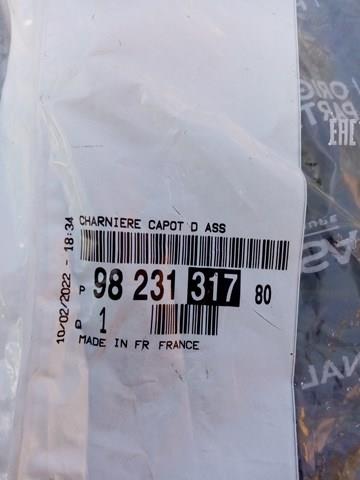 9823131780 PEUGEOT Капот купить в Ужгород