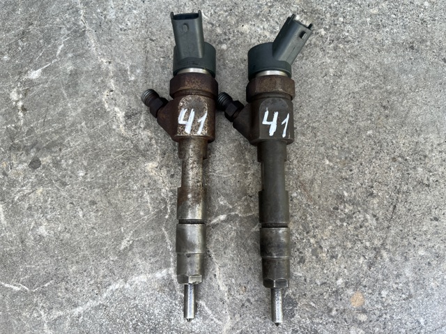 Топливные форсунки 0445110021 BOSCH