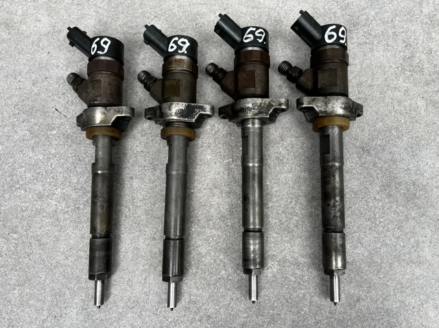 BOSCH 0445110239 Топливные форсунки в наличии Полтава