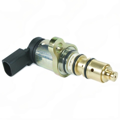 Клапан компрессора кондиционера CCV0010 SIGMA