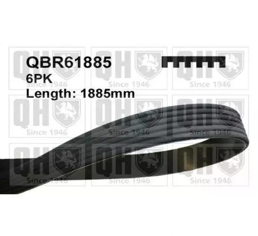 Поликлиновый ремень QBR61885 QUINTON HAZELL