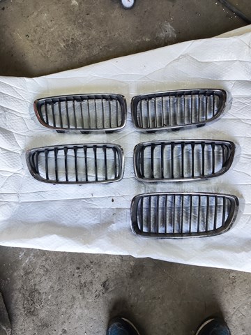 BMW 51137294815 Решетка радиатора левая в наличии Каменское