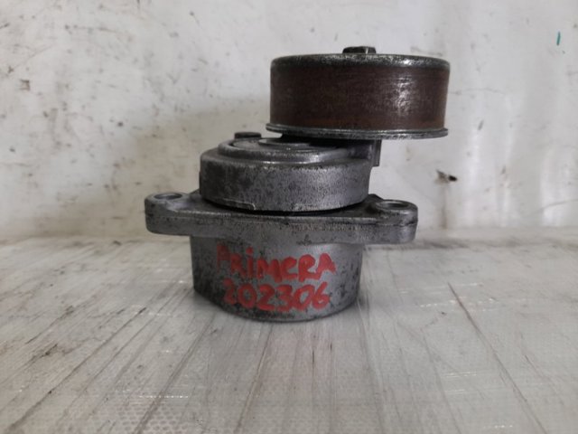 119556N202 NISSAN Натяжитель приводного ремня купить в Ровно