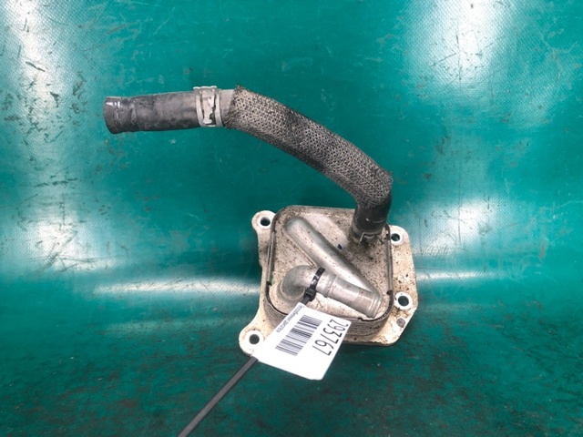 213056CA0A NISSAN Радиатор масляный купить в Житомир