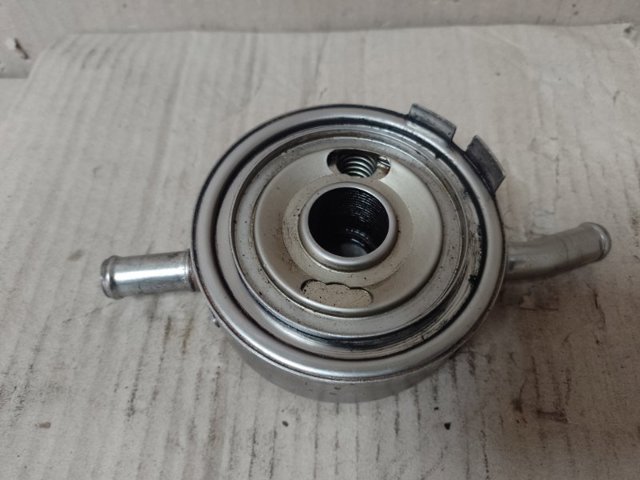21305AM60A Nissan/Infiniti