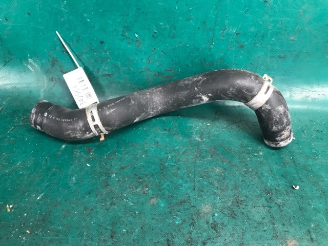215011KC0A NISSAN Шланг (патрубок) радиатора охлаждения верхний купить в Ужгород