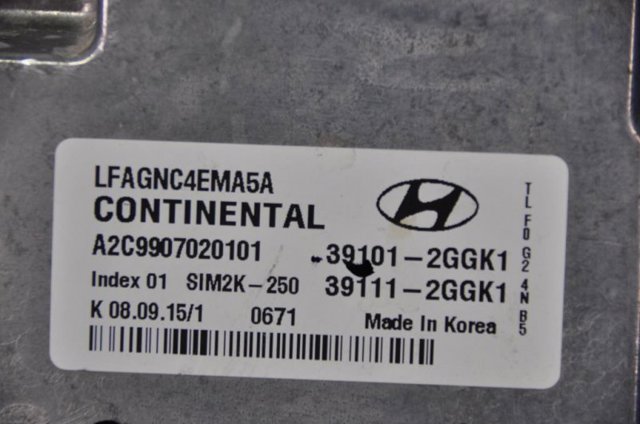 HYUNDAI 391012GGK1 в наличии Каменское
