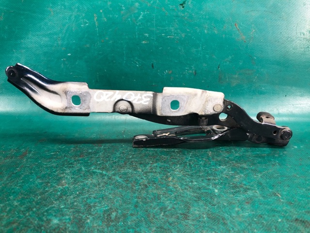 41007373847 BMW Петля крышки багажника купить в Хмельницкий