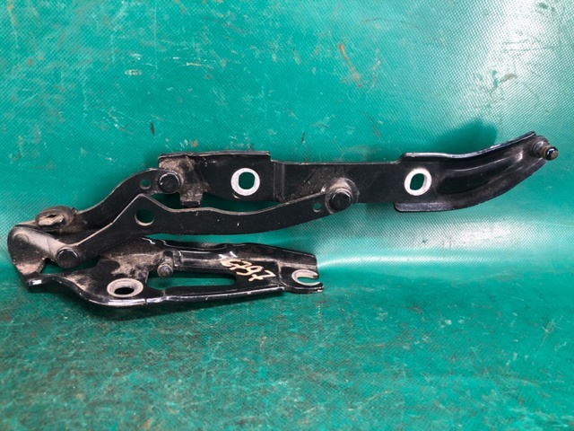 Завеса крышки багажника 41007373847 BMW