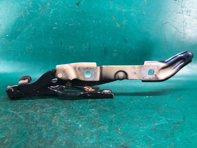 BMW 41007373848 Петля крышки багажника в наличии Каменское