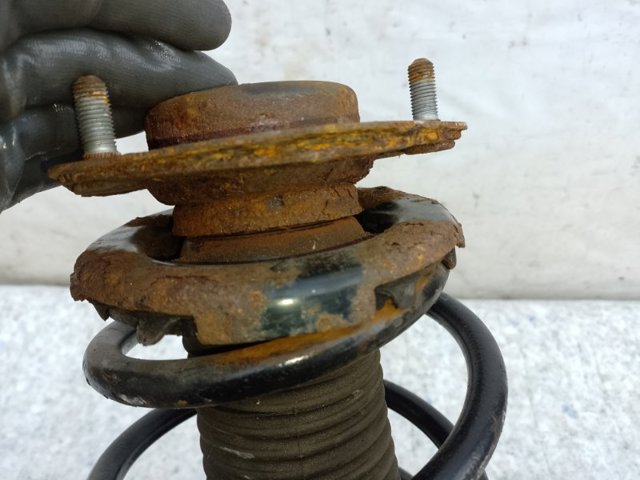TOYOTA 4813106861 Передняя пружина в наличии Запорожье