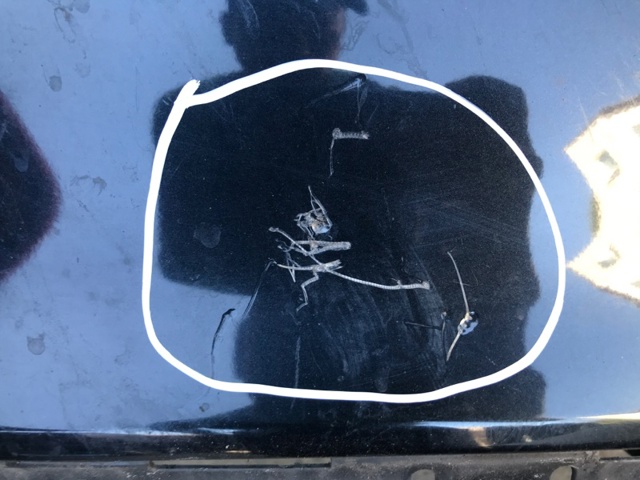 TOYOTA 5215906390 Задний бампер в наличии Одесса