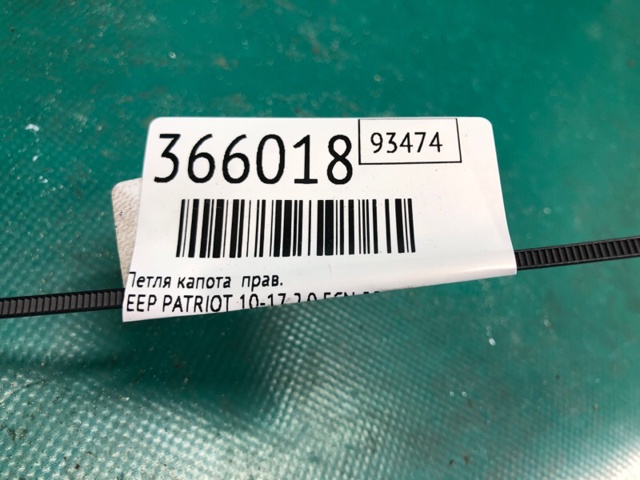 CHRYSLER 55399000AE в наличии Павлоград