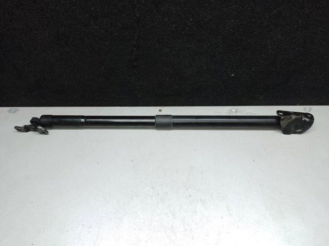 Амортизатор для багажника газовый 74981TG7315 HONDA