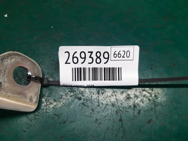 HYUNDAI 79120A9000 Петля капота правая в наличии Сумы