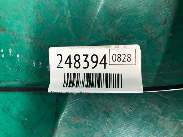 VAG 8V5827301C Петля крышки багажника в наличии Киев