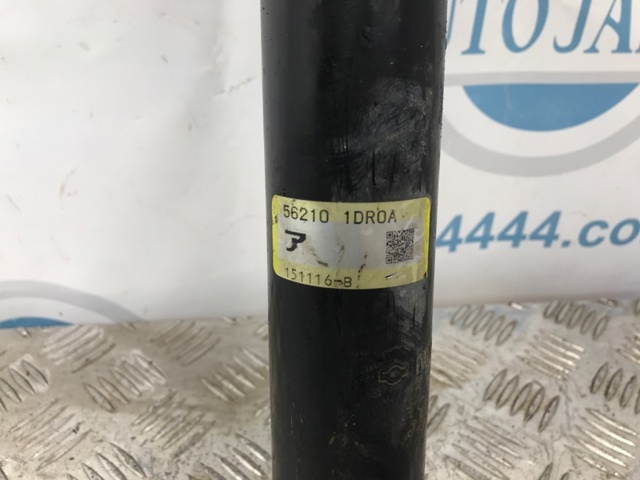 NISSAN E62101DR1A Амортизатор задний в наличии Полтава