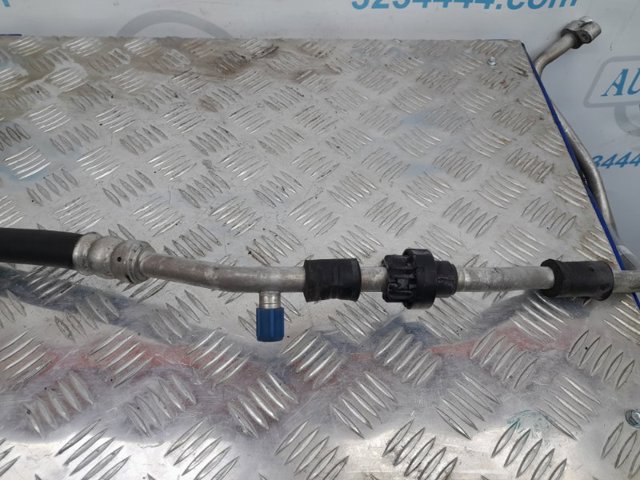 MN177949 купить Черновцы