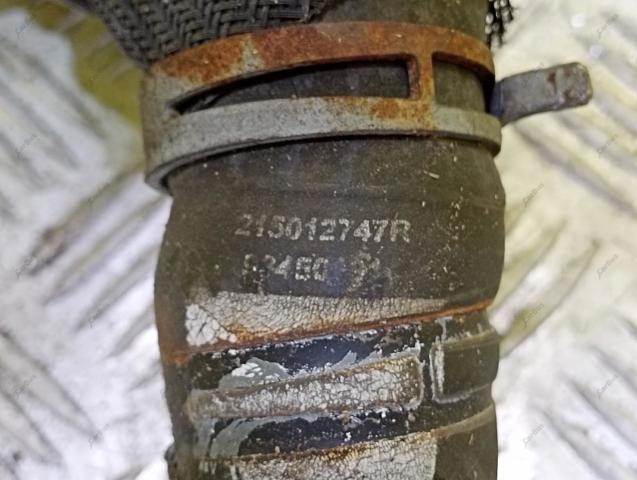 215012747R Шланг (патрубок) радиатора охлаждения верхний купить Украина