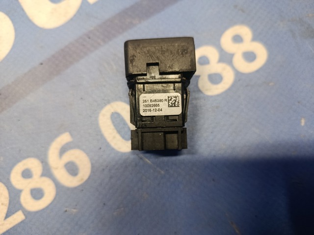 RENAULT 251B45280R в наличии Каменское