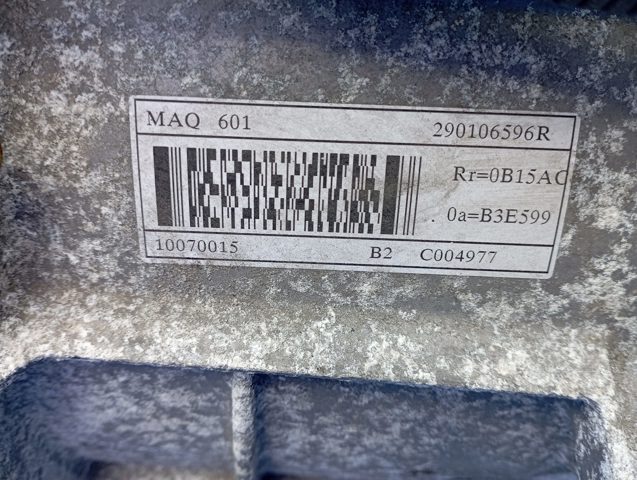 290106596R купить Ровно
