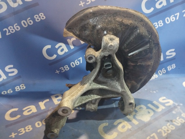 Цапфа левая 3Q0505433F VAG