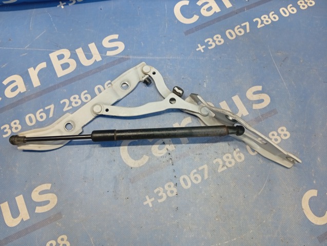 Крепление крышки багажника 41627210675 BMW