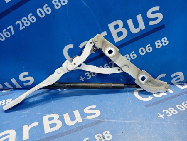 41627210675 BMW Петля крышки багажника купить в Ирпень