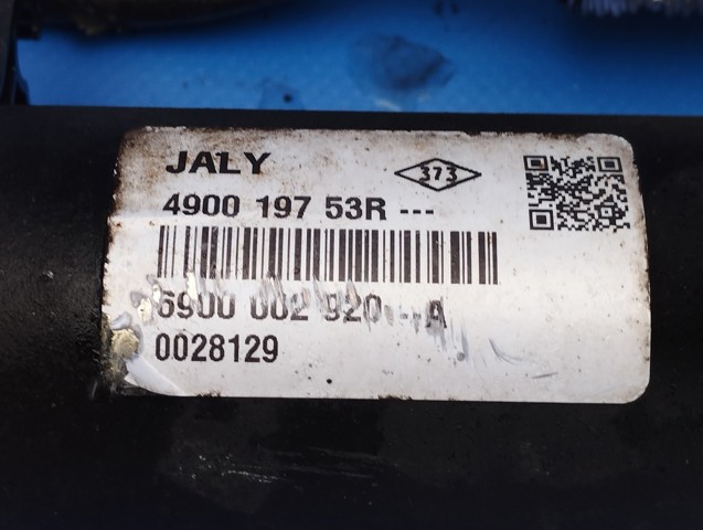 RENAULT 490019753R в наличии Кривой Рог