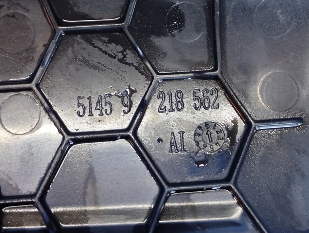BMW 51459241178 в наличии Каменское
