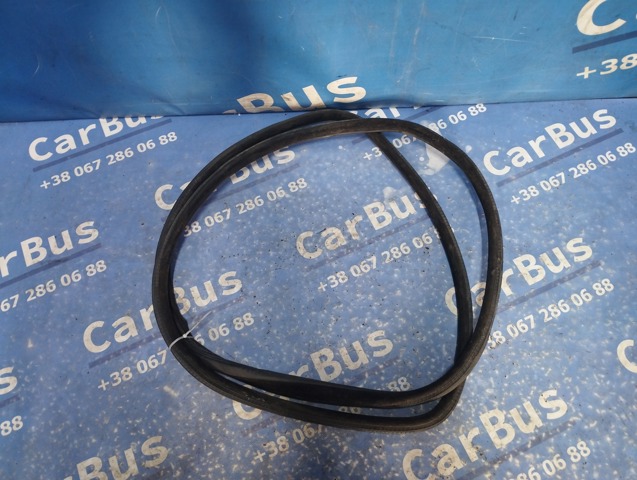 Уплотнитель двери задней, (на кузове) 51727289639 BMW