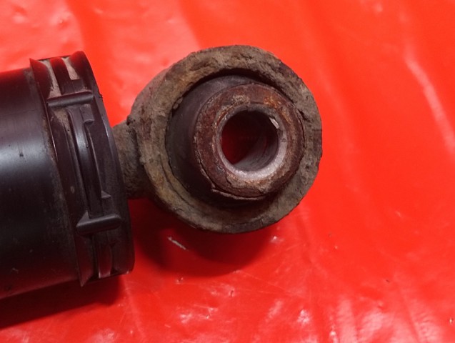 562106844R RENAULT Амортизатор задний купить в Тернополь