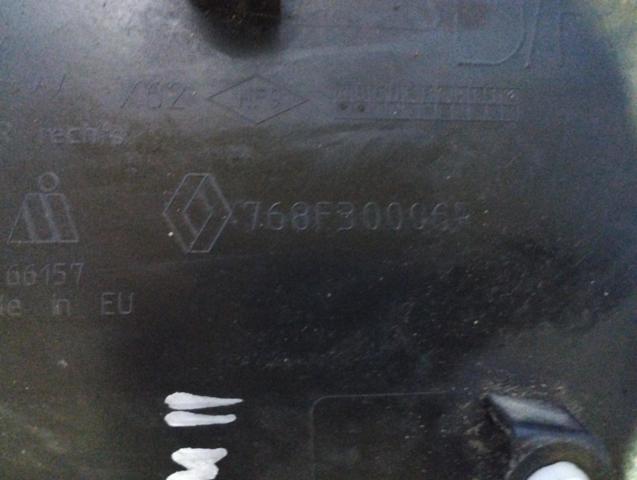 768F30006R RENAULT Молдинг крыла заднего правого купить в Сумы