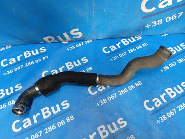 Патрубок воздушный, выход из компрессора (наддув) 8200605907 RENAULT