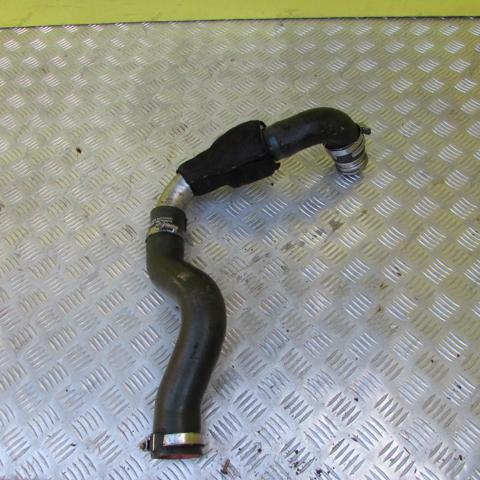 8200648187 RENAULT Патрубок интеркулера купить в Ирпень