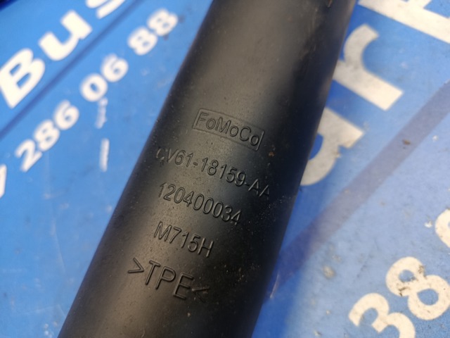 FORD CV6118159AA в наличии Сумы