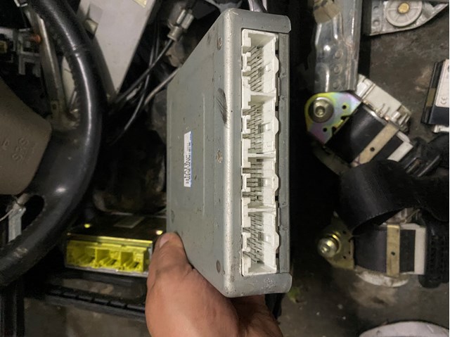 L81318881H MAZDA купить в Ровно