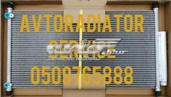 Трубопроводы и радиатор кондиционера 3844K8C1 POLCAR
