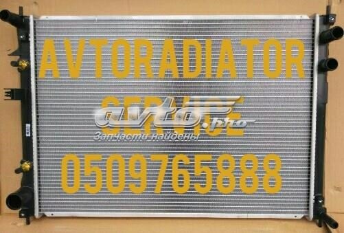 Радиатор 45111XA01A MARKET (OEM)