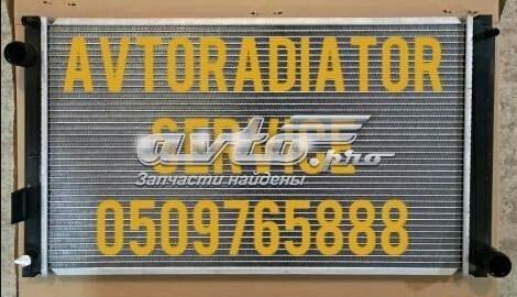 POLCAR 81X3082 Радиатор в наличии Полтава