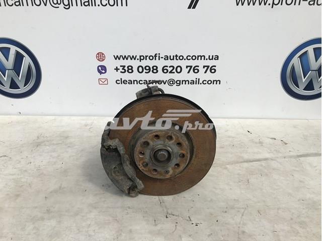 Цапфа поворотного кулака 5Q0407258A VAG