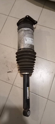106746625C TESLA Амортизатор задний правый купить в Ужгород
