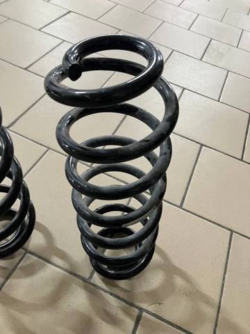 SACHS 994367 Пружина задняя в наличии Тернополь