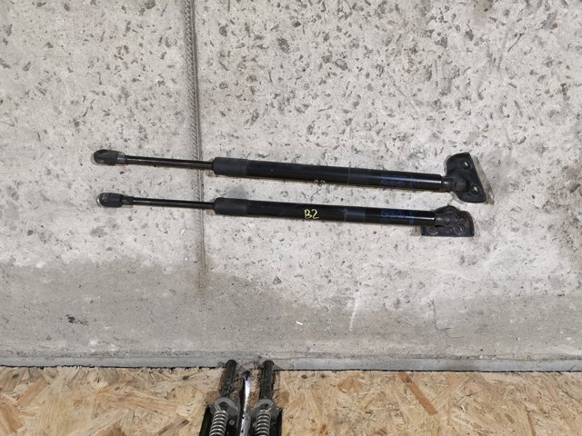 Амортизатор задней двери 95429722 GM