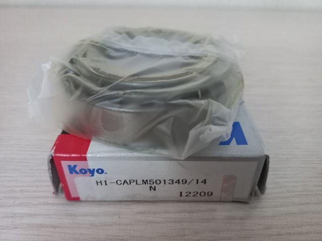 50134914 Подшипник дифференциала переднего моста купить Хмельницкий