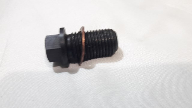 1009903 AUTOTECHTEILE Пробка поддона двигателя купить в Киев