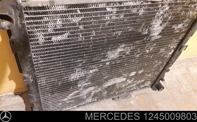 MERCEDES 1245009803 Радиатор в наличии Тернополь